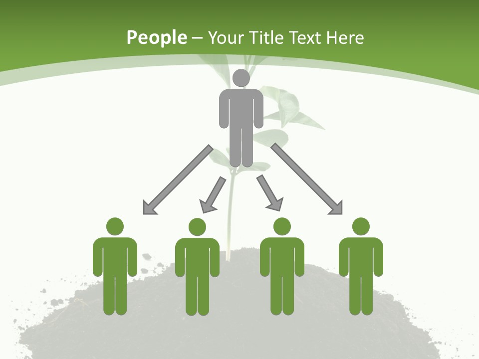 Leaf Fertility Stem PowerPoint Template