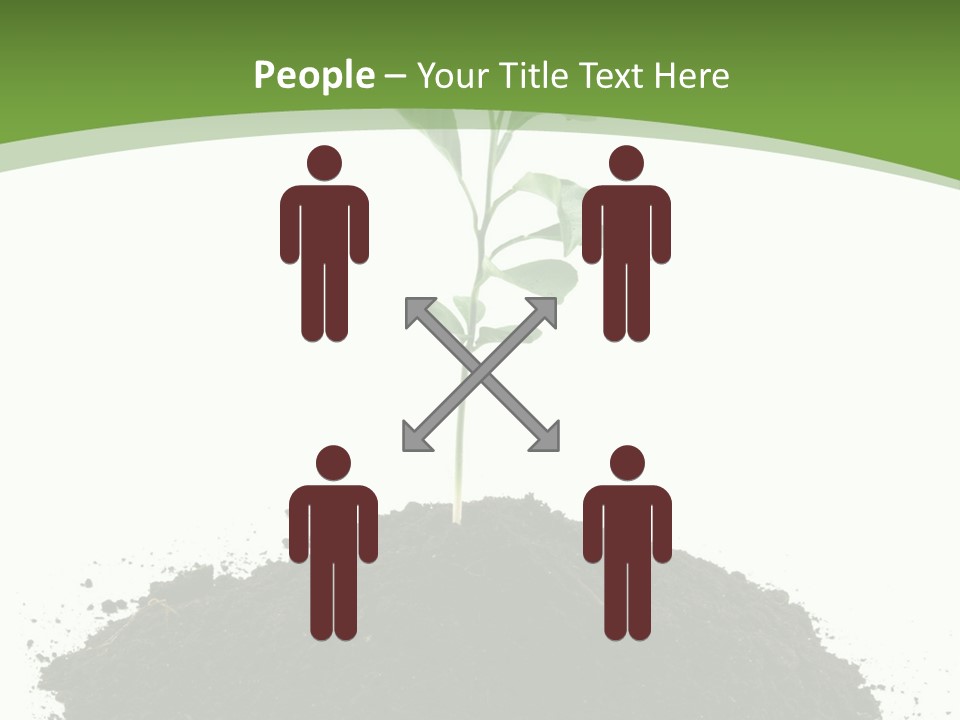 Leaf Fertility Stem PowerPoint Template