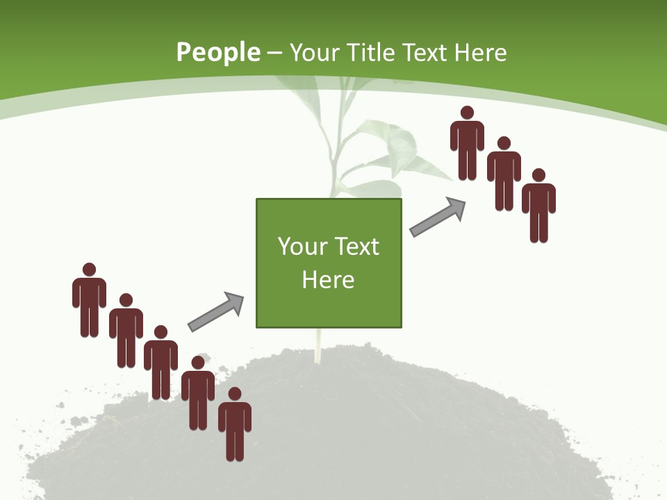 Leaf Fertility Stem PowerPoint Template