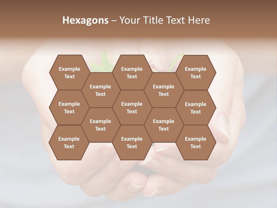 Fruit Red Detail PowerPoint Template