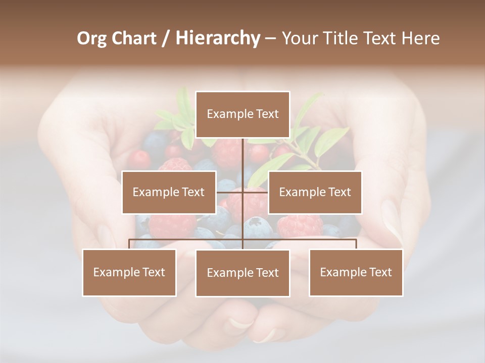 Fruit Red Detail PowerPoint Template