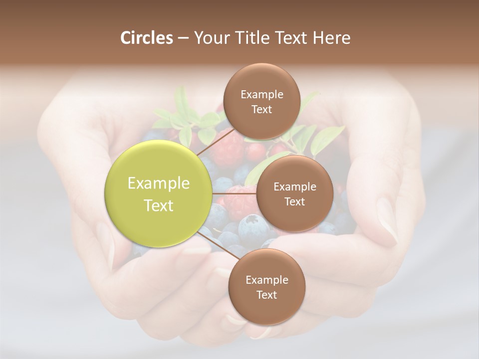 Fruit Red Detail PowerPoint Template