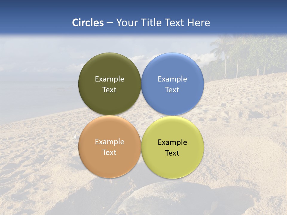 Tropical Green Turtle Survival PowerPoint Template