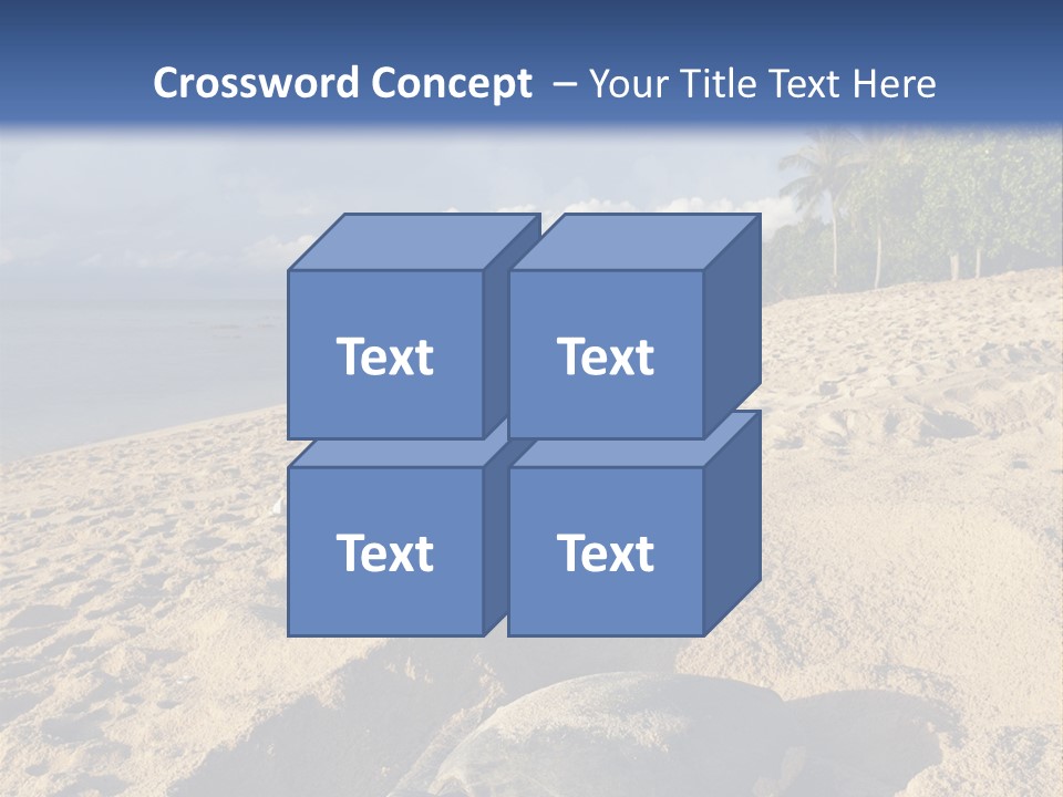 Tropical Green Turtle Survival PowerPoint Template
