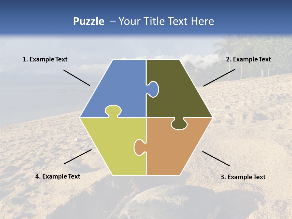 Tropical Green Turtle Survival PowerPoint Template