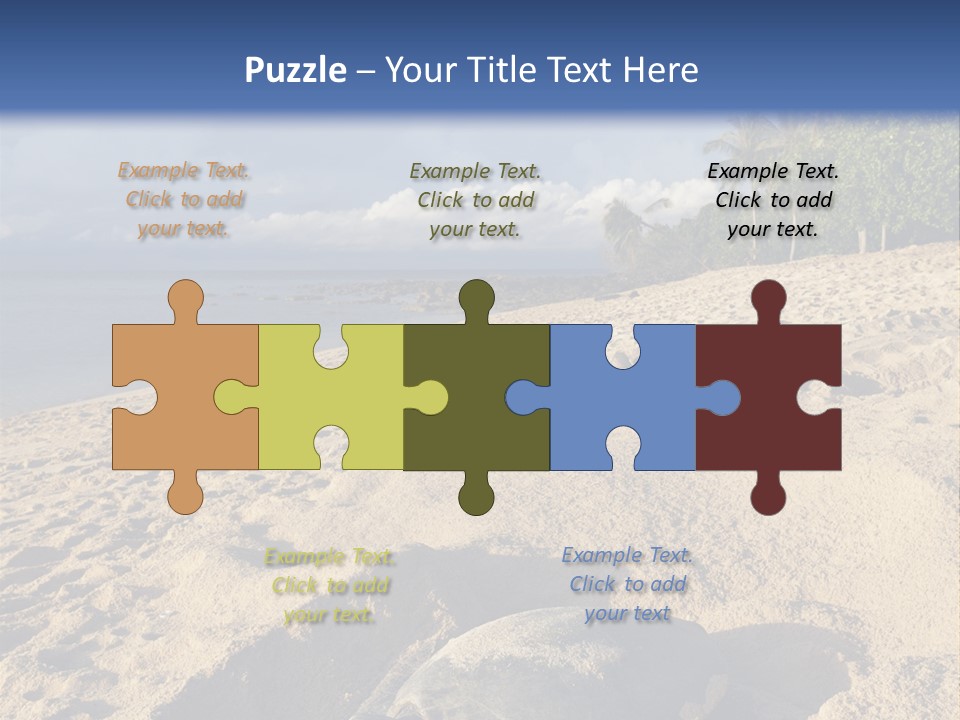 Tropical Green Turtle Survival PowerPoint Template