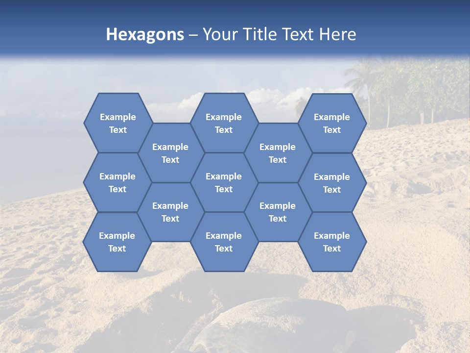Tropical Green Turtle Survival PowerPoint Template