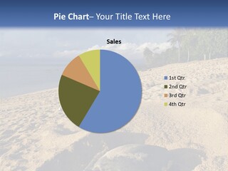 Tropical Green Turtle Survival PowerPoint Template