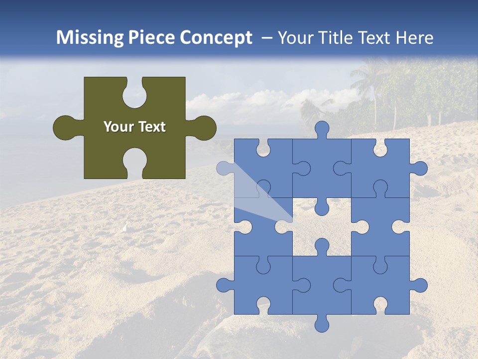 Tropical Green Turtle Survival PowerPoint Template