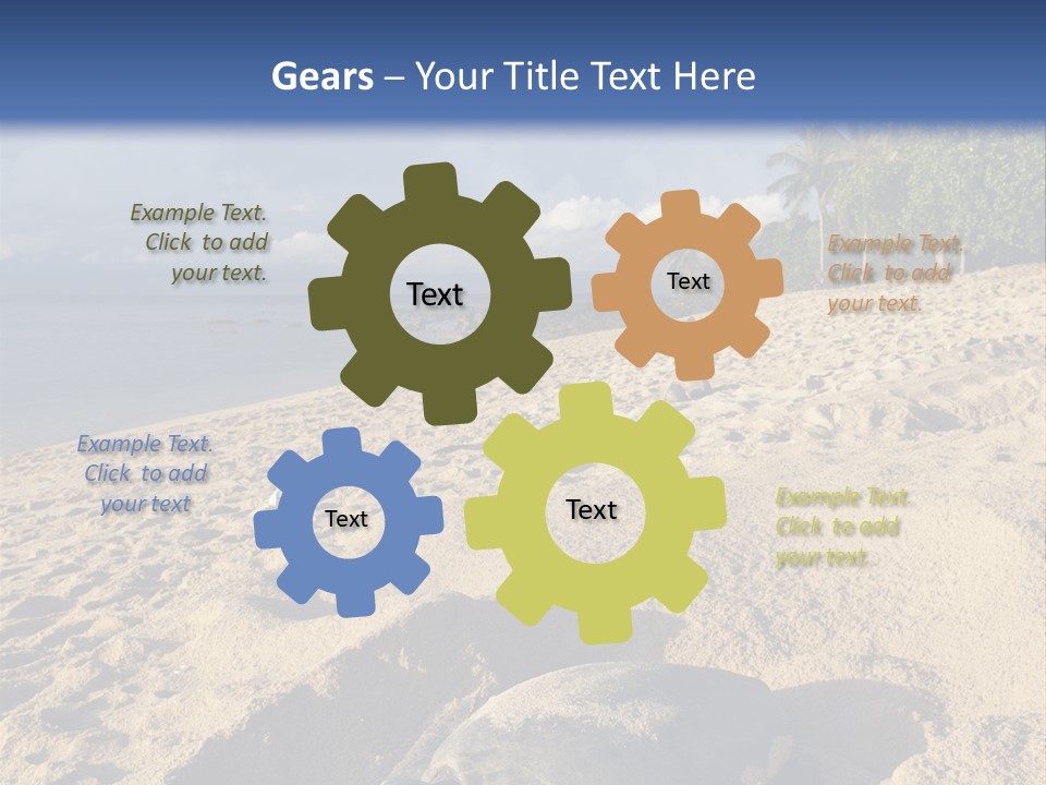 Tropical Green Turtle Survival PowerPoint Template