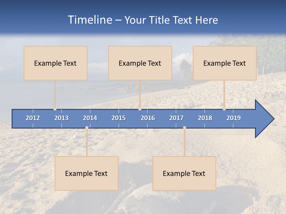 Tropical Green Turtle Survival PowerPoint Template
