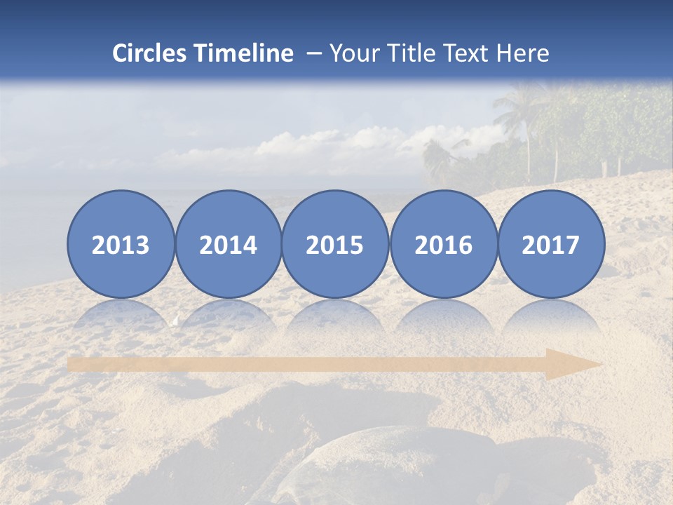 Tropical Green Turtle Survival PowerPoint Template