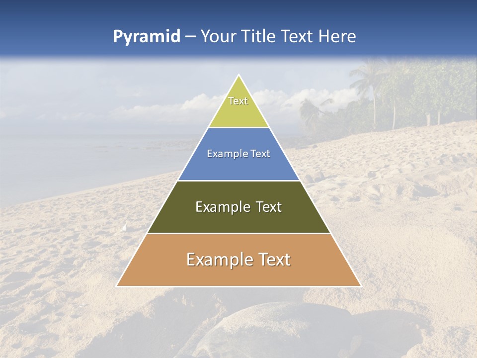 Tropical Green Turtle Survival PowerPoint Template