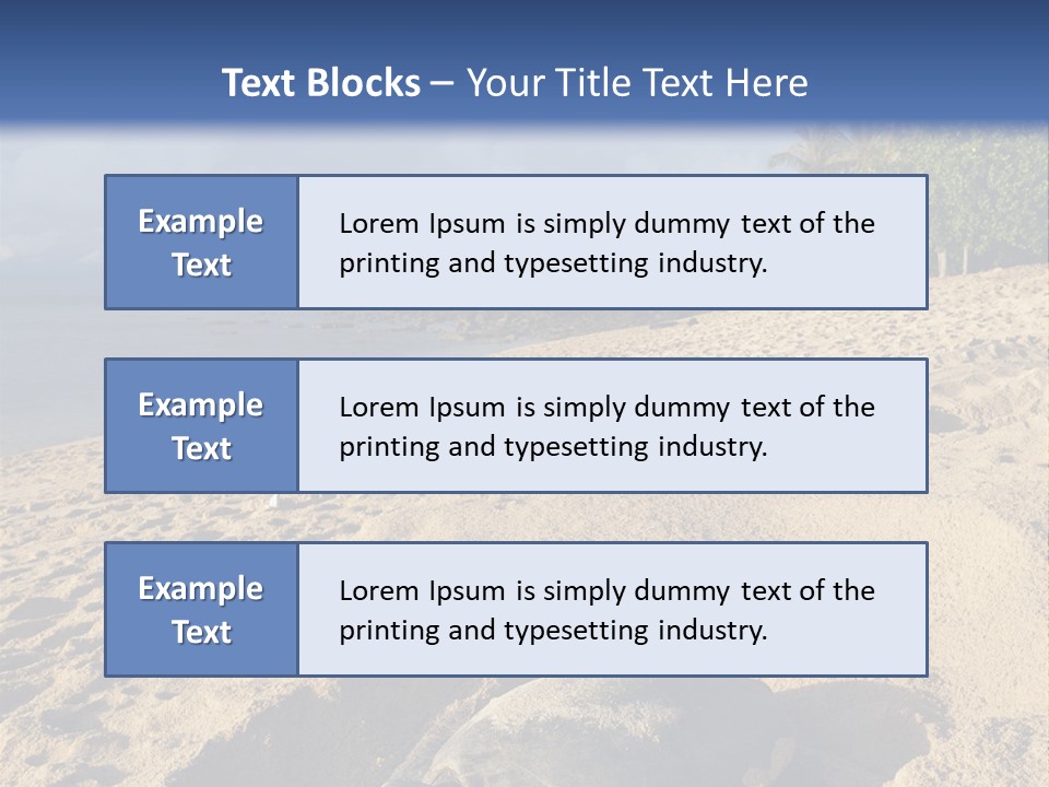Tropical Green Turtle Survival PowerPoint Template