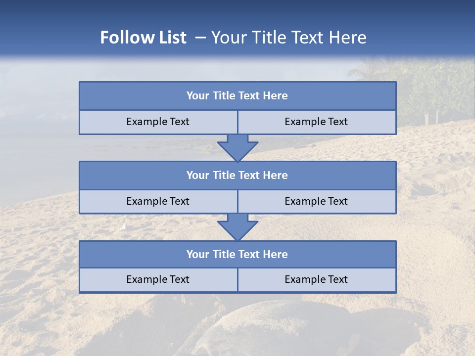 Tropical Green Turtle Survival PowerPoint Template
