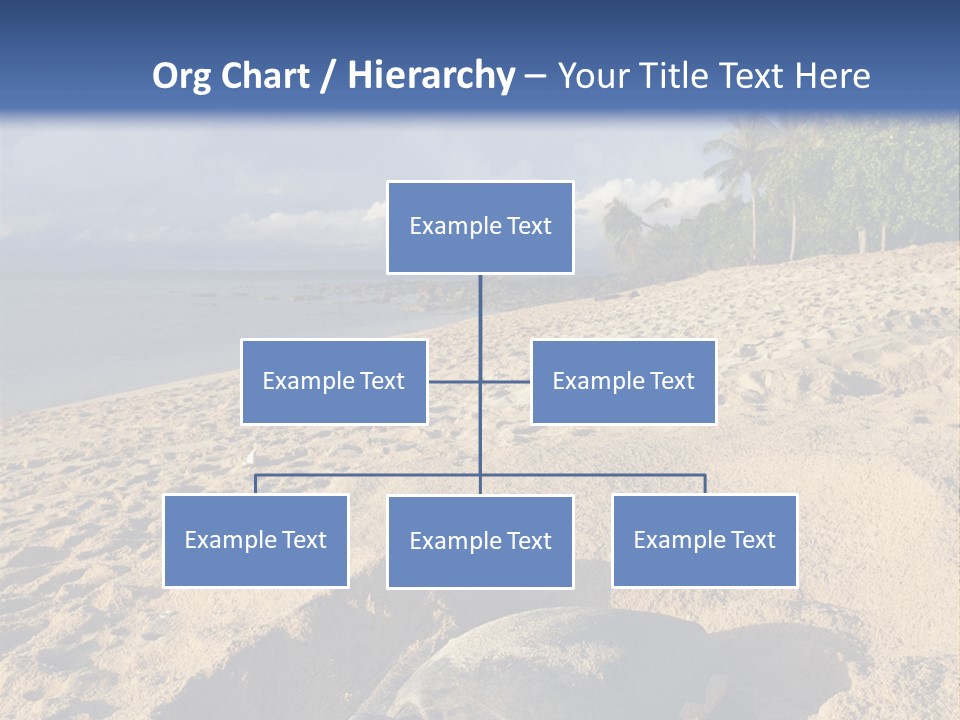 Tropical Green Turtle Survival PowerPoint Template