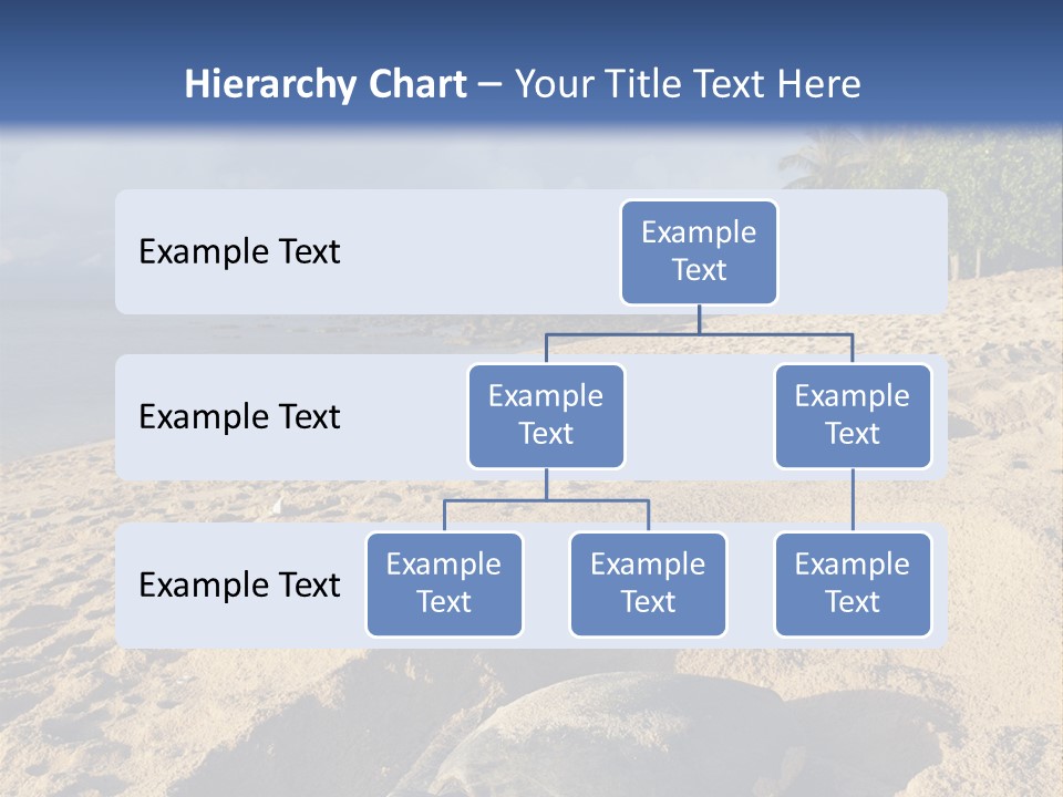 Tropical Green Turtle Survival PowerPoint Template