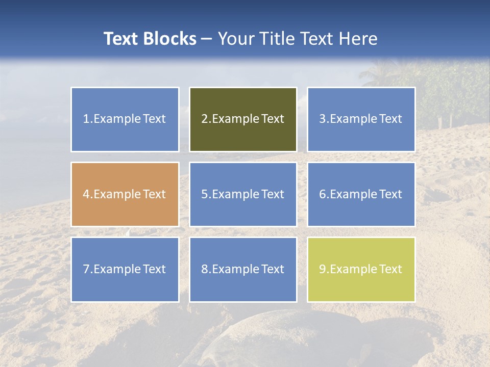 Tropical Green Turtle Survival PowerPoint Template