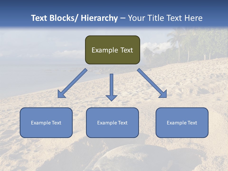 Tropical Green Turtle Survival PowerPoint Template