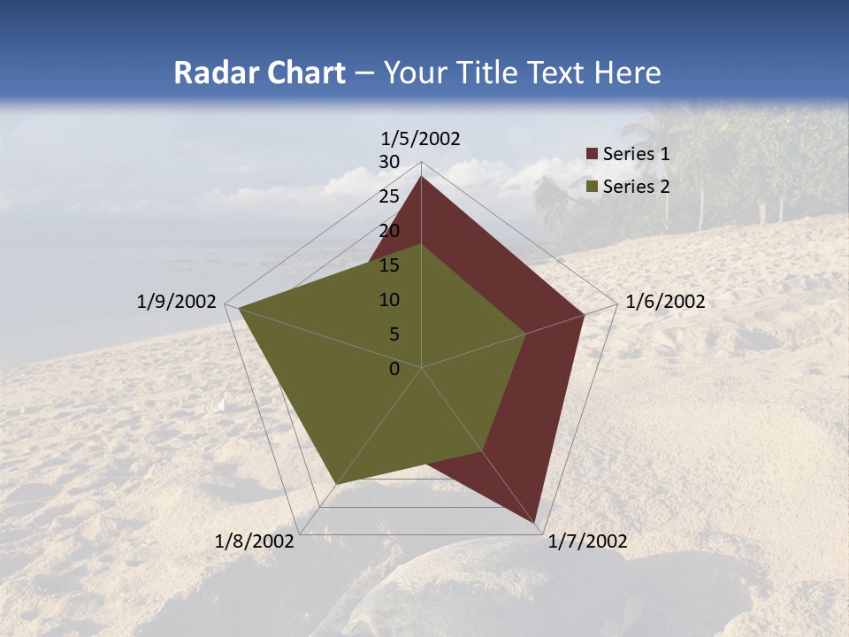 Tropical Green Turtle Survival PowerPoint Template