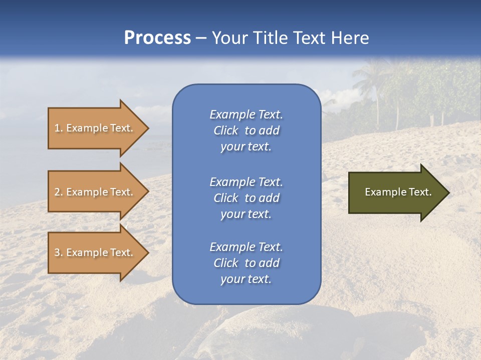 Tropical Green Turtle Survival PowerPoint Template