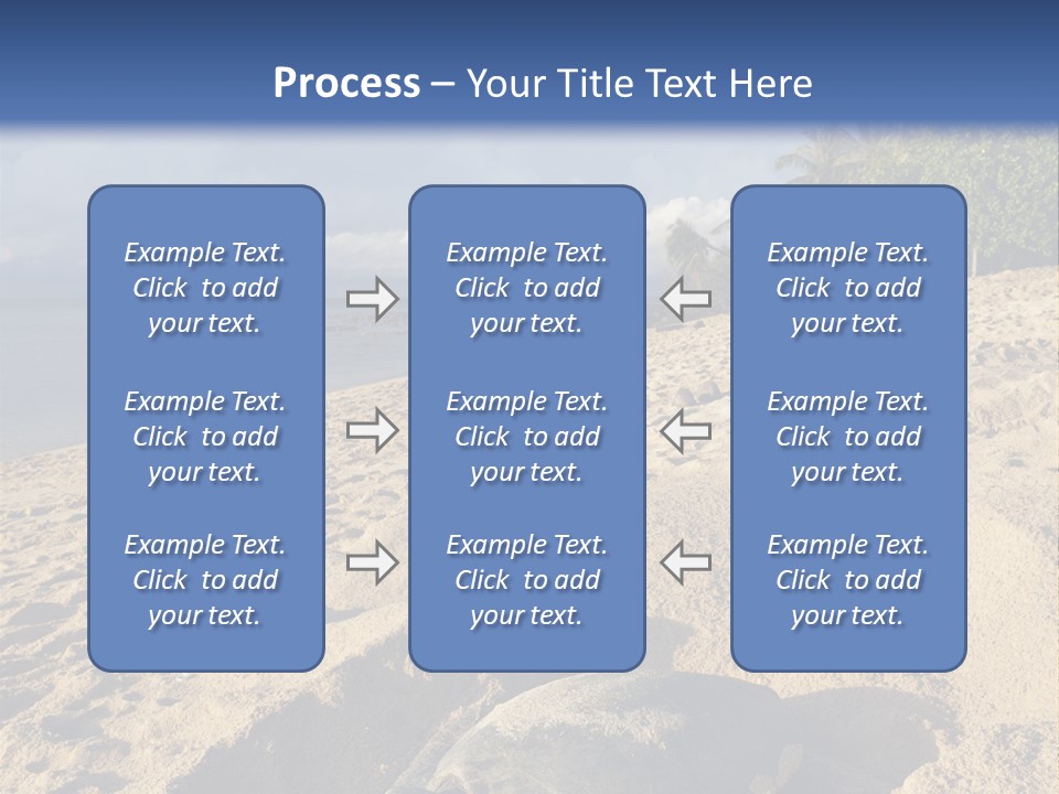 Tropical Green Turtle Survival PowerPoint Template