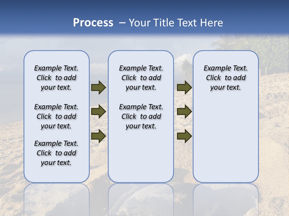 Tropical Green Turtle Survival PowerPoint Template