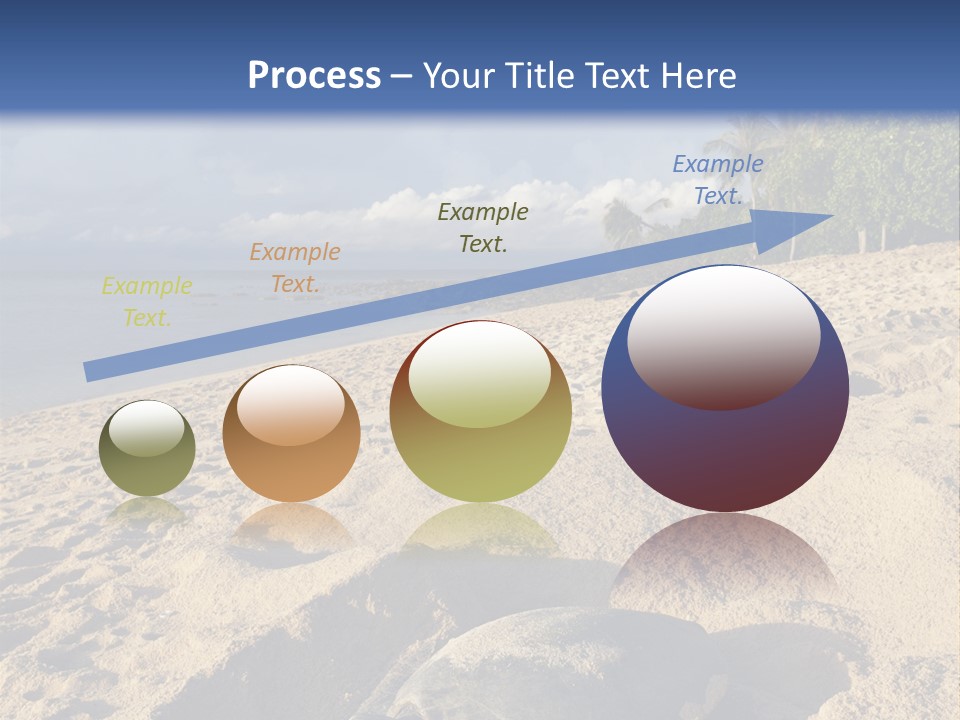 Tropical Green Turtle Survival PowerPoint Template