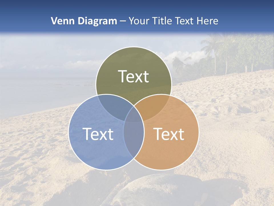 Tropical Green Turtle Survival PowerPoint Template