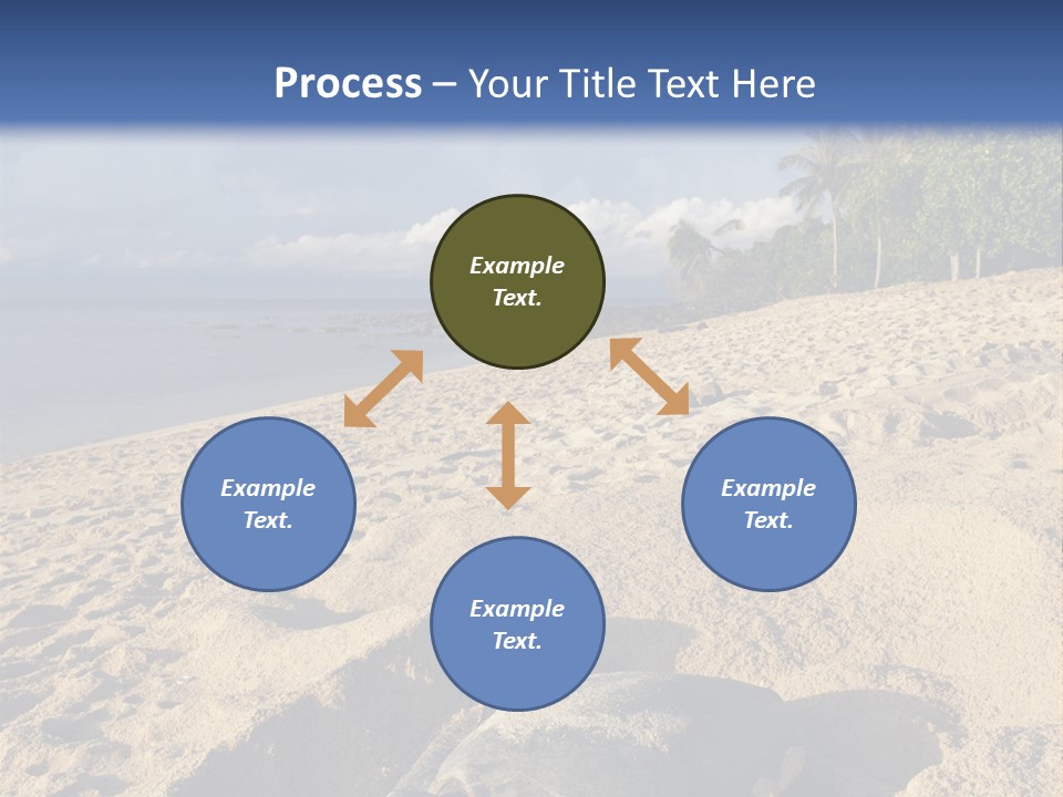 Tropical Green Turtle Survival PowerPoint Template