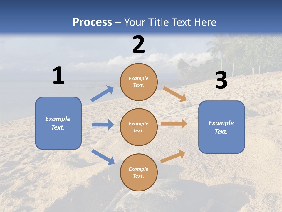 Tropical Green Turtle Survival PowerPoint Template