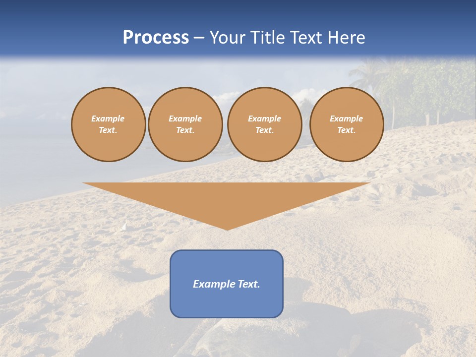 Tropical Green Turtle Survival PowerPoint Template