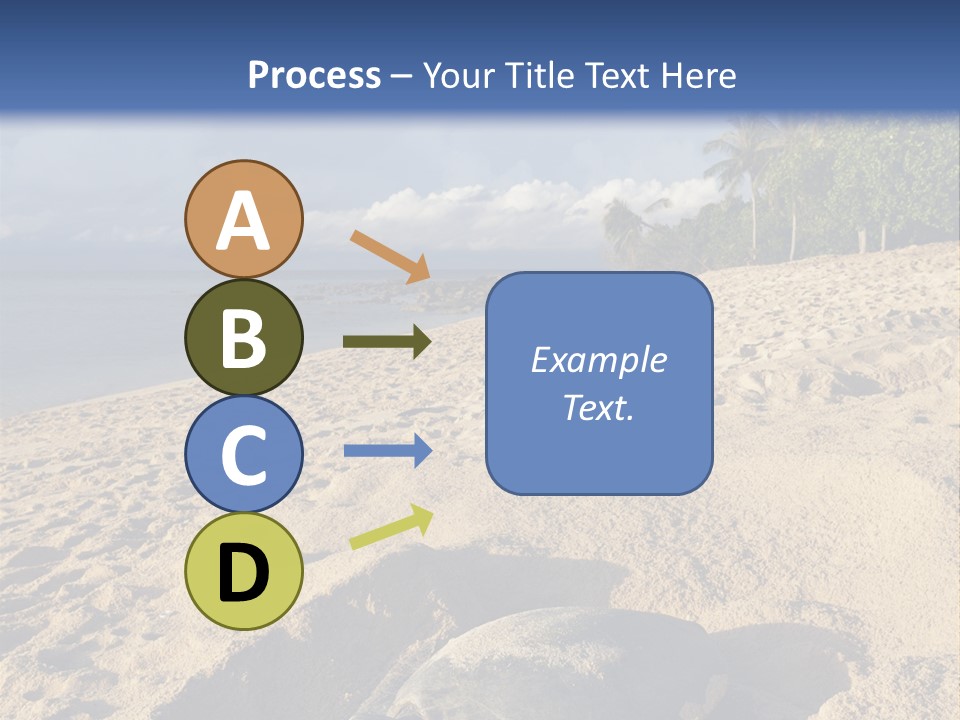 Tropical Green Turtle Survival PowerPoint Template