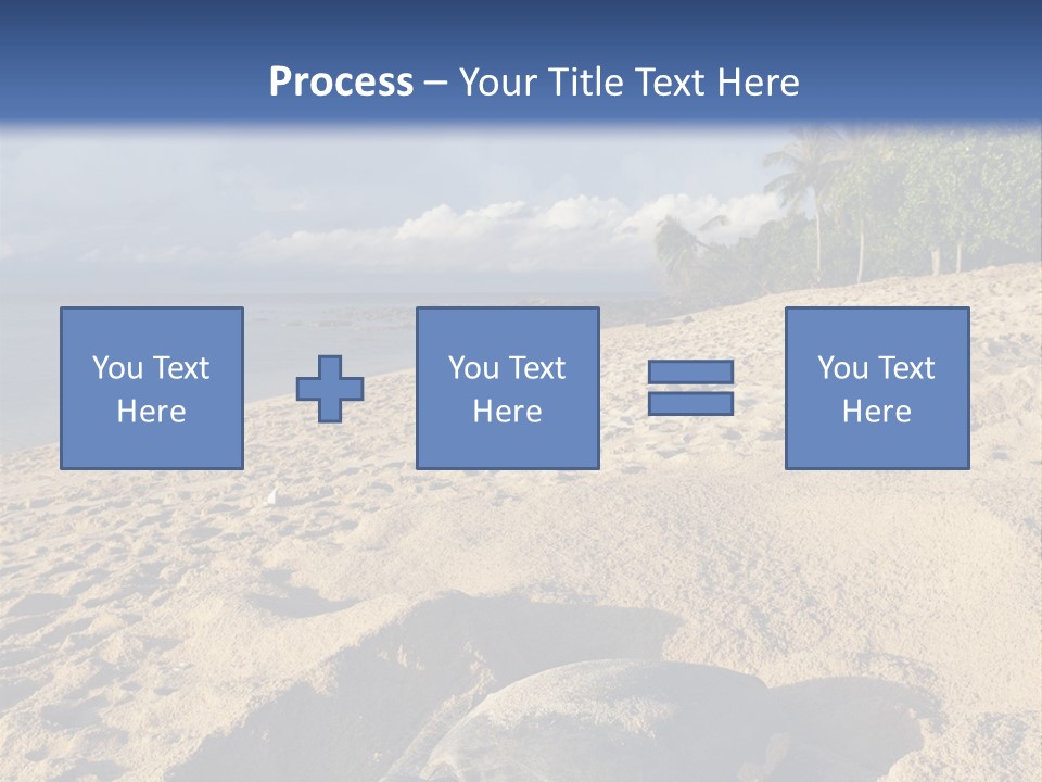 Tropical Green Turtle Survival PowerPoint Template