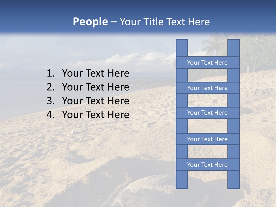 Tropical Green Turtle Survival PowerPoint Template