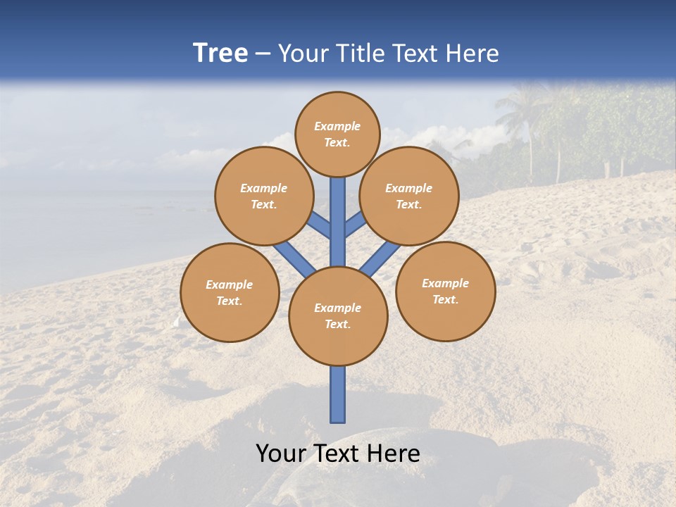 Tropical Green Turtle Survival PowerPoint Template