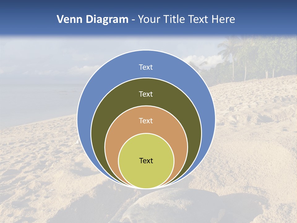 Tropical Green Turtle Survival PowerPoint Template