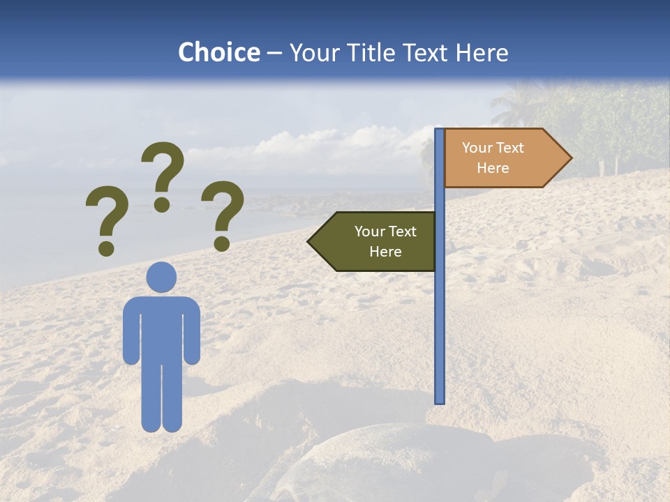Tropical Green Turtle Survival PowerPoint Template