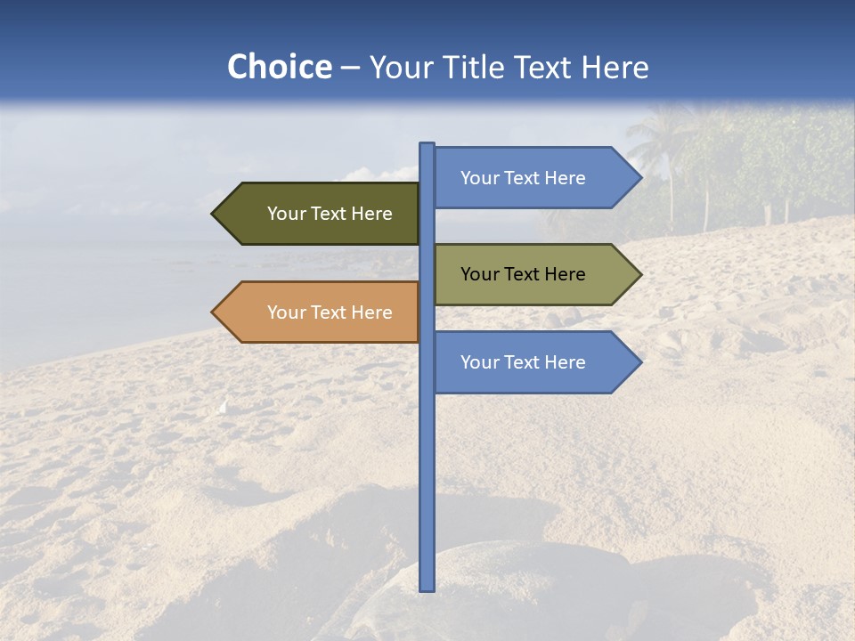 Tropical Green Turtle Survival PowerPoint Template