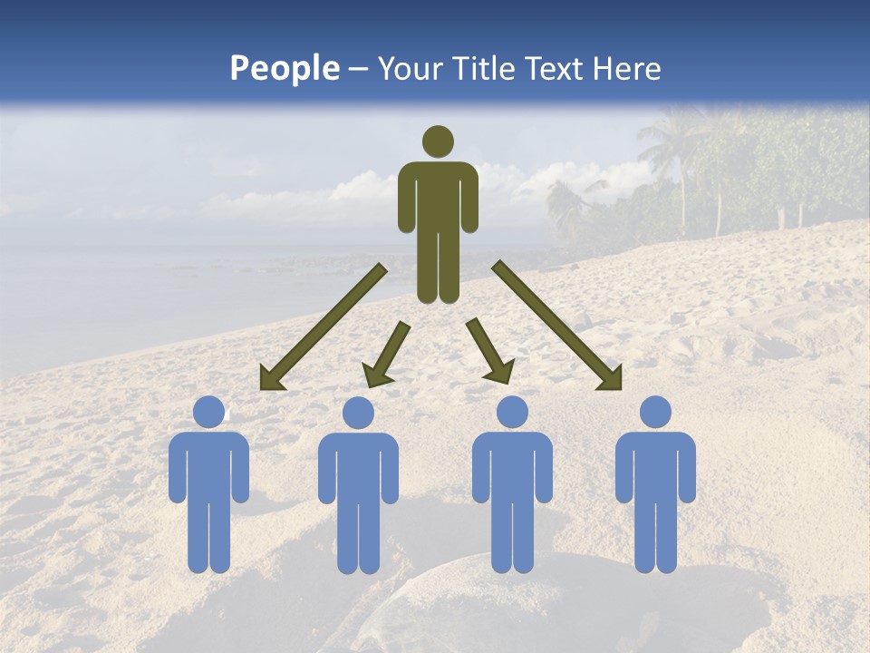 Tropical Green Turtle Survival PowerPoint Template