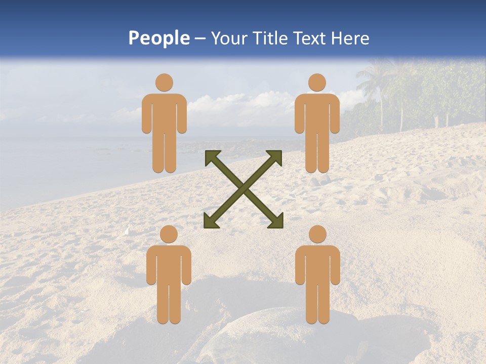 Tropical Green Turtle Survival PowerPoint Template