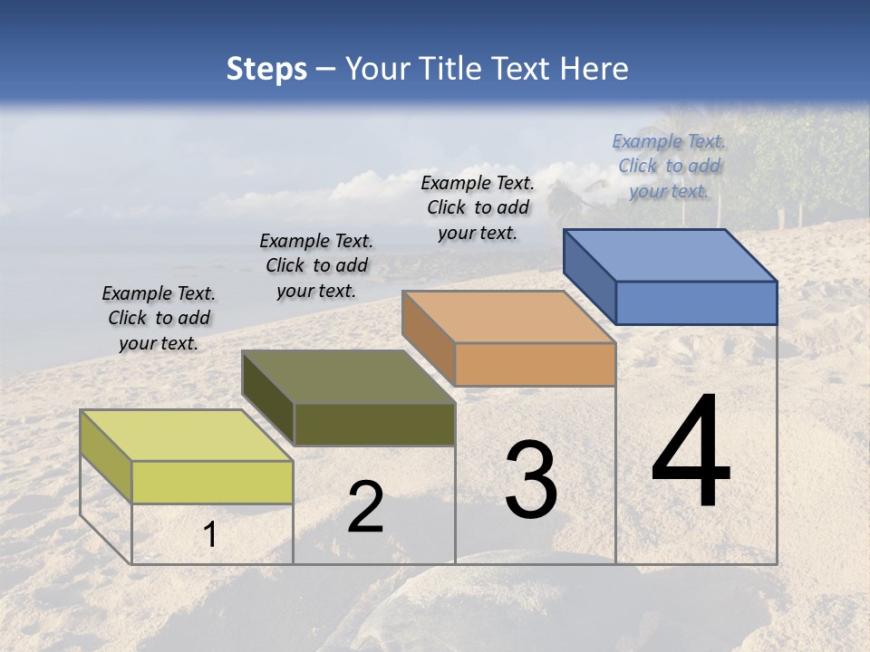 Tropical Green Turtle Survival PowerPoint Template