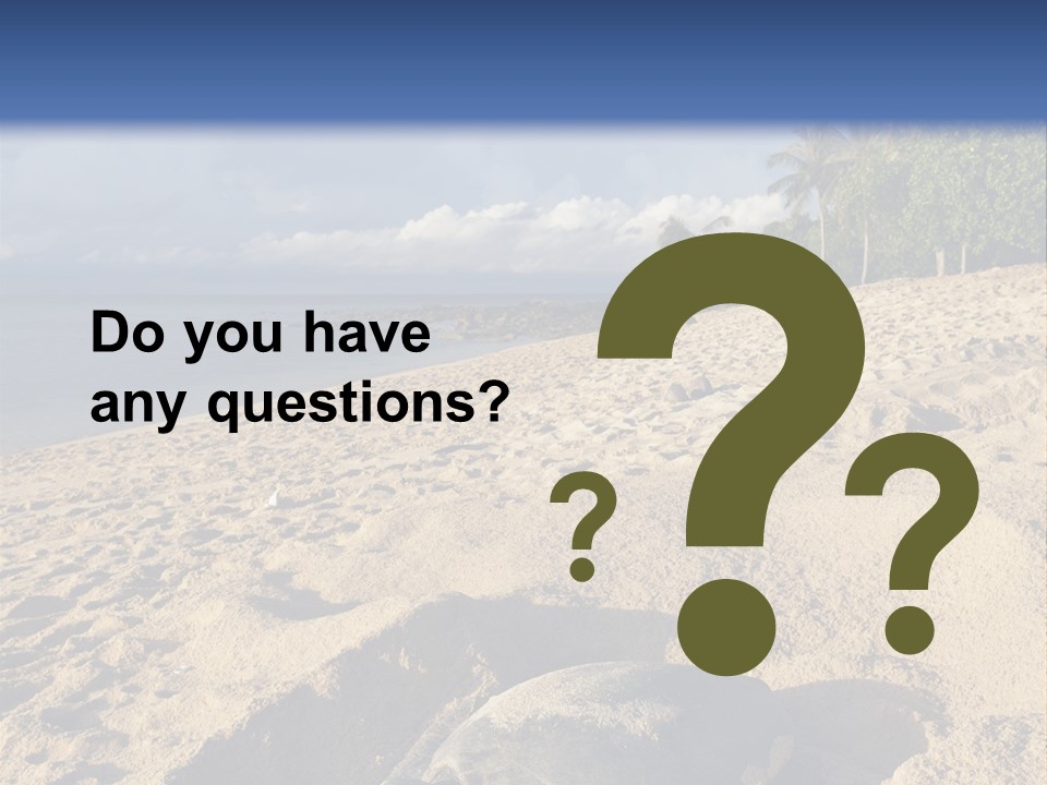 Tropical Green Turtle Survival PowerPoint Template