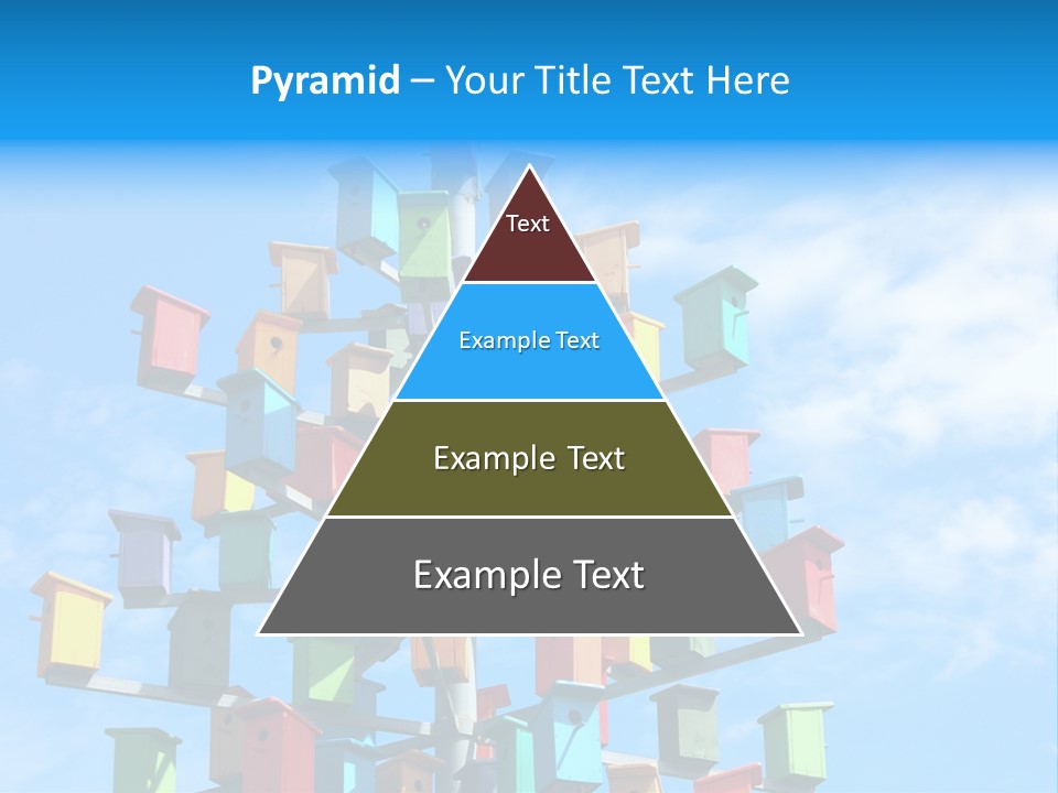 Ornamental Summer Coop PowerPoint Template