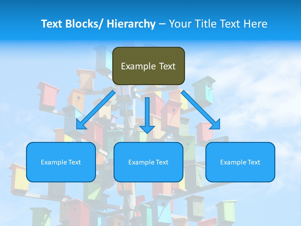 Ornamental Summer Coop PowerPoint Template