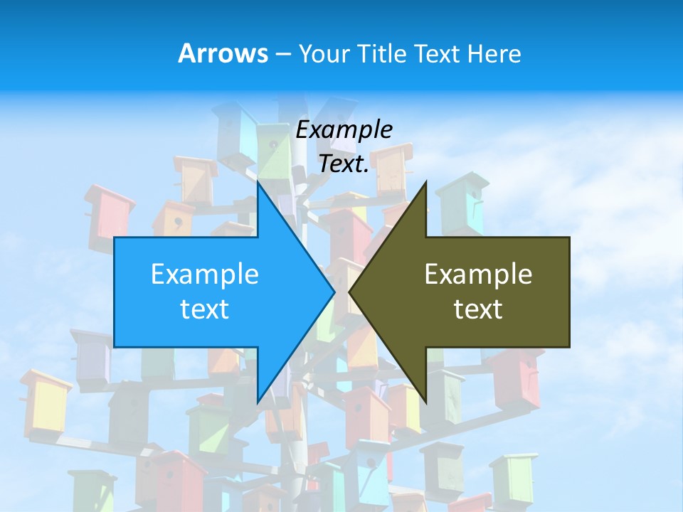 Ornamental Summer Coop PowerPoint Template