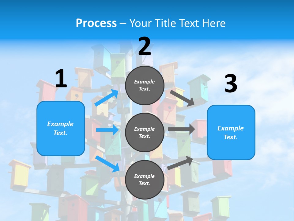 Ornamental Summer Coop PowerPoint Template