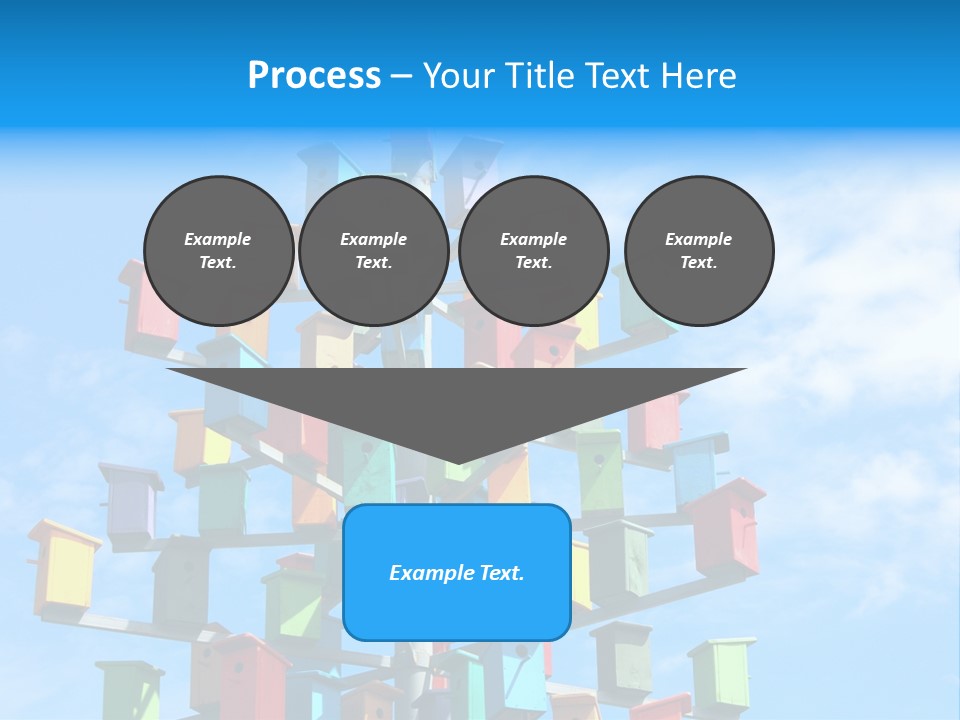 Ornamental Summer Coop PowerPoint Template