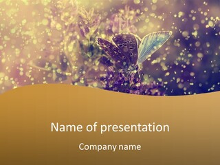 Dream Fly Countryside PowerPoint Template