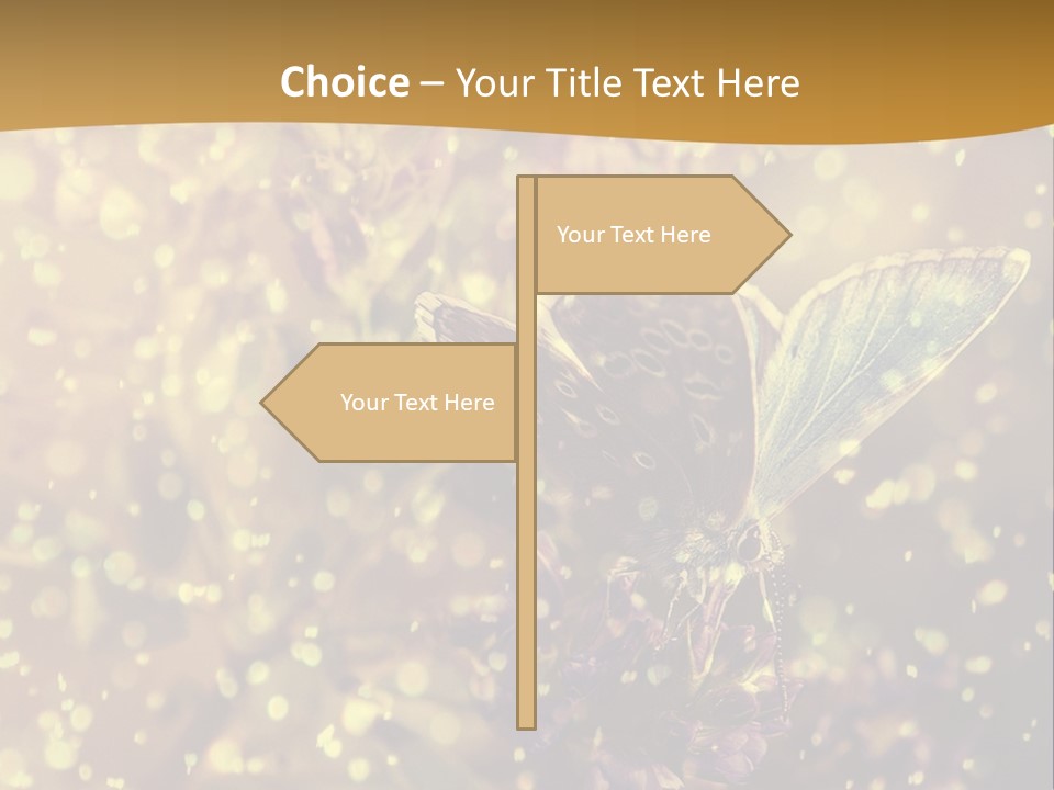 Dream Fly Countryside PowerPoint Template